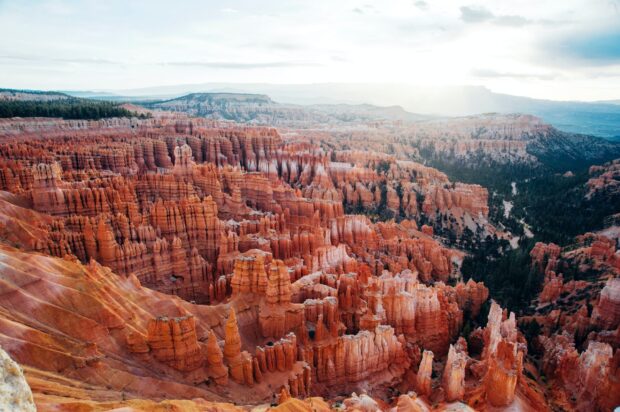 The unique rock formations in Utah create a stunning natural landscape under a bright sky