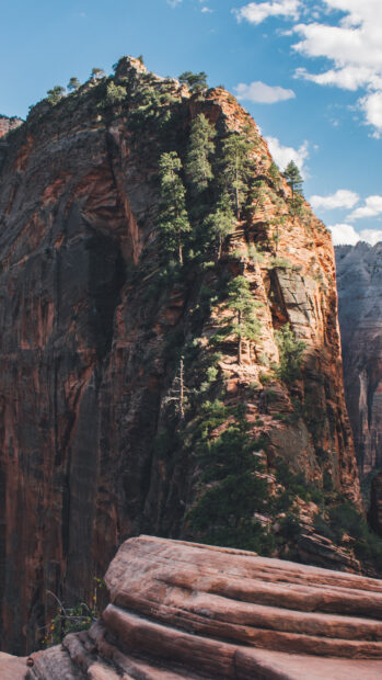 Tall rocky cliff with pine trees in Utah valley