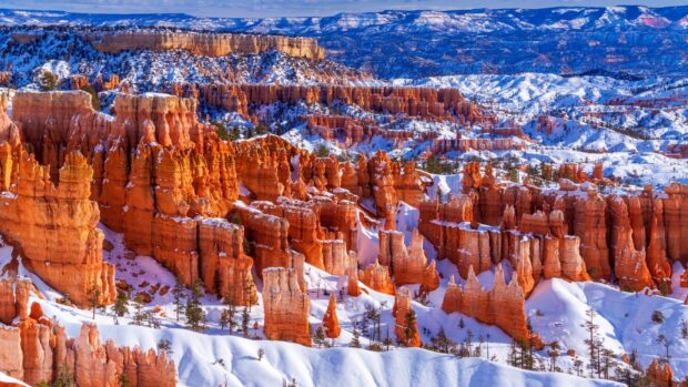 Snow covered rock formations in Utah with striking red cliffs and pine trees