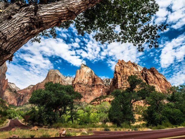 Majestic Utah rock formations towering over lush trees and a winding road under a bright blue sky with scattered clouds