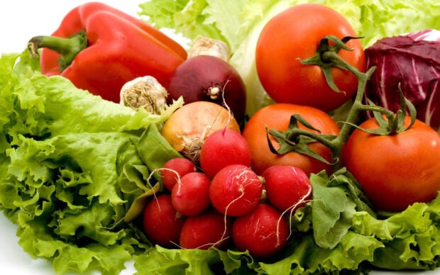 Fresh vegetables including tomatoes radishes lettuce onion and pepper on a white background
