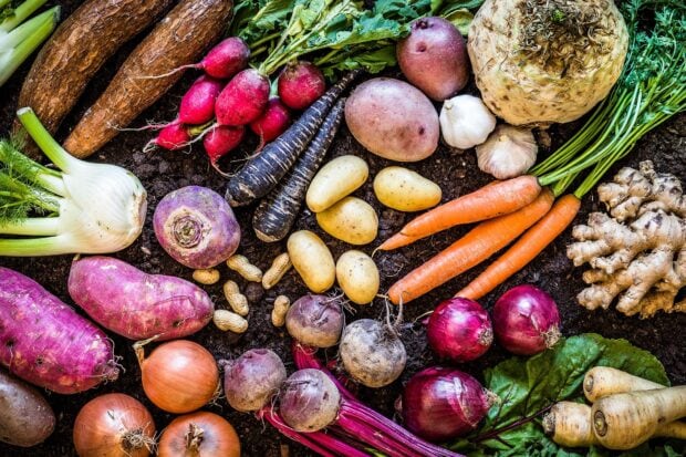 Fresh vegetables including carrots potatoes radishes onions and ginger on soil background