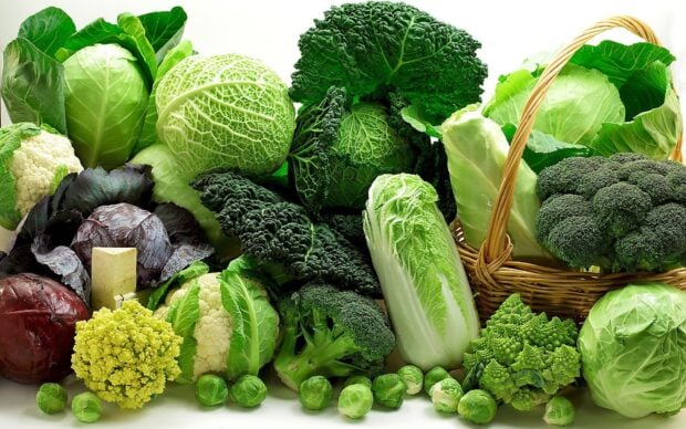 A variety of fresh vegetables including cabbage broccoli and Brussels sprouts placed together