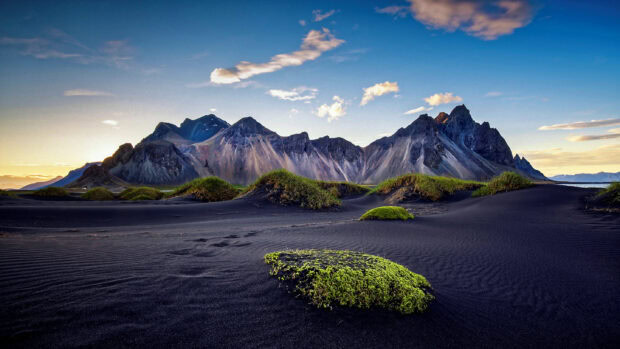 Black sand dunes with green vegetation near Vestrahorn Iceland mountain range at sunset