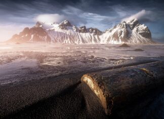 A large log resting on black sand near Vestrahorn Iceland mountain range with snow covered peaks