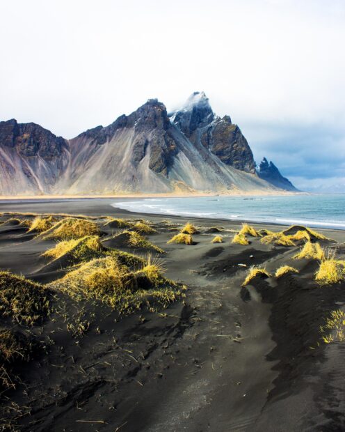 Black sand dunes and grassy patches along the coast near Vestrahorn Iceland