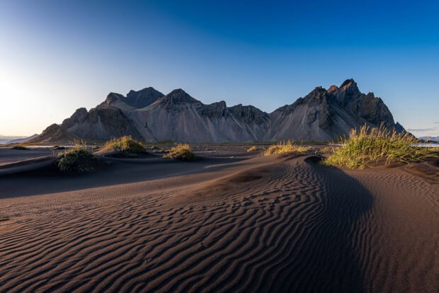 Black sand dunes and grass with Vestrahorn mountain in Iceland under clear blue sky