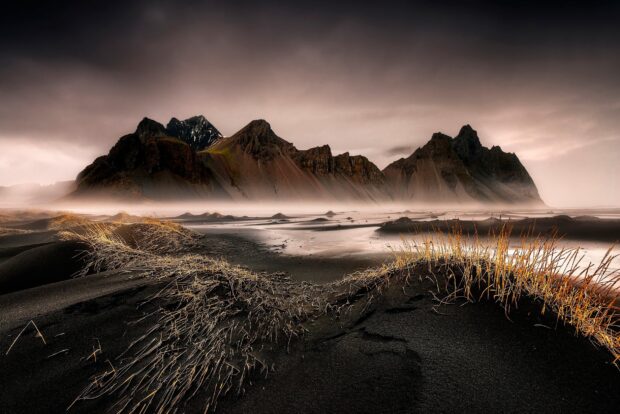 Dark volcanic sand dunes with golden grass in front of Vestrahorn Iceland