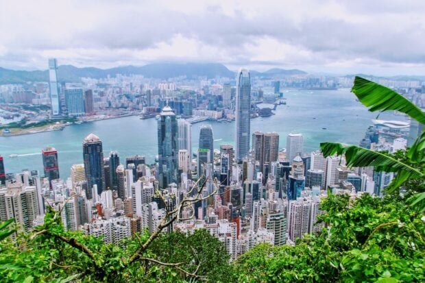 A panoramic view of Victoria Peak showing high rise buildings and harbor with lush greenery in foreground