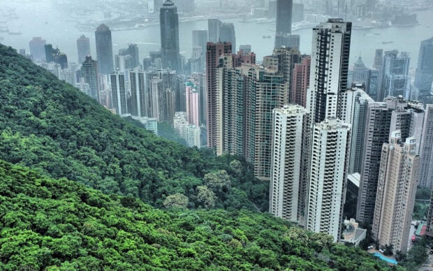 Lush greenery covering Victoria Peak overlooking the city skyline and tall buildings
