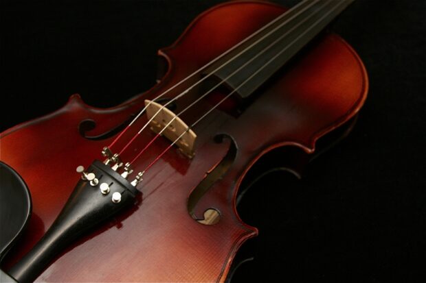 Close up of a viola showing its strings and wooden body on a black background