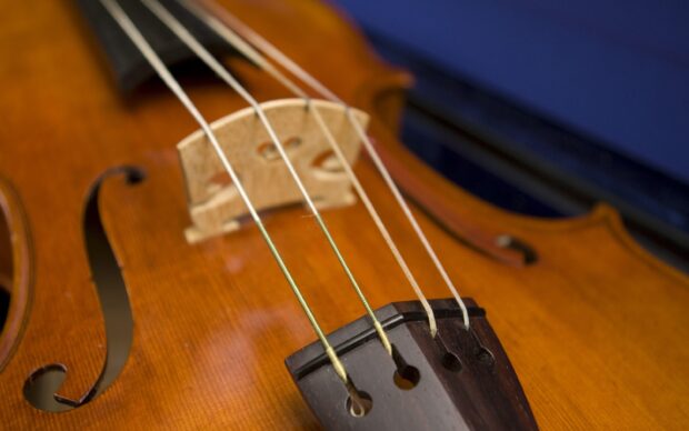 Close up of a viola showing its wooden body and strings in detail