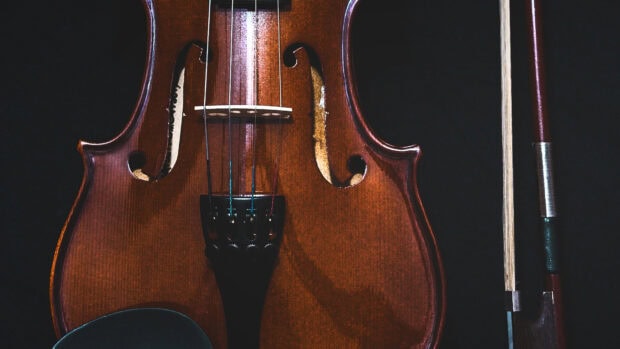 Close up of a wooden viola showing detailed craftsmanship and strings