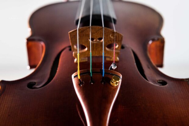 Close up of wooden viola strings and bridge showing detailed texture and colors