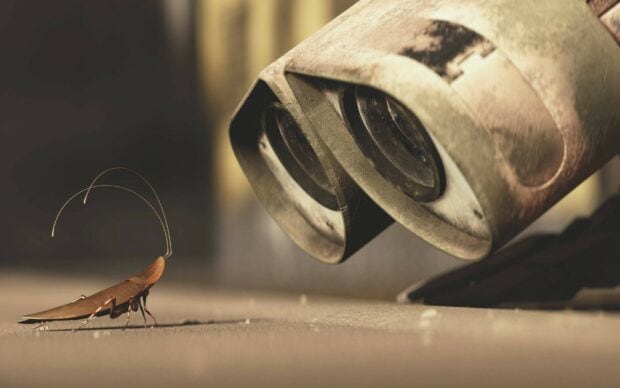 A rust colored insect approaching a large metallic exhaust pipe visible on a dusty surface
