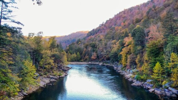A peaceful river flowing through a forest of colorful trees in West Virginia
