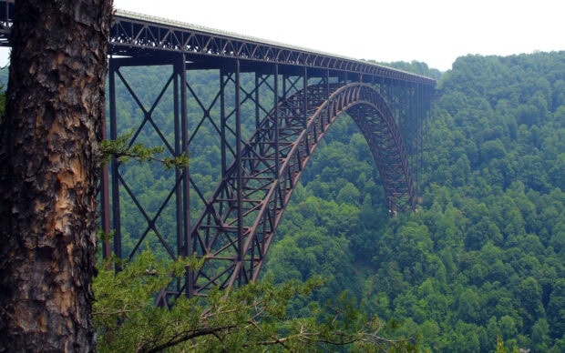 Steel arch bridge structure surrounded by West Virginia lush green forest