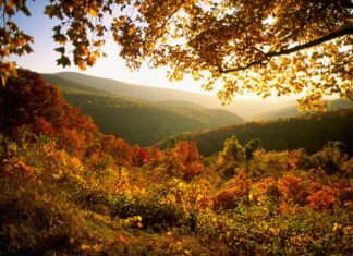 Autumn foliage covers rolling hills in West Virginia mountains during golden hour