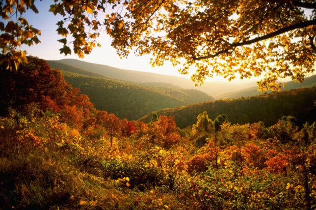 Autumn foliage covers rolling hills in West Virginia mountains during golden hour