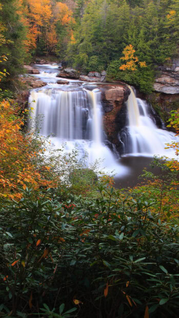 Autumn forest with a waterfall in West Virginia surrounded by colorful trees