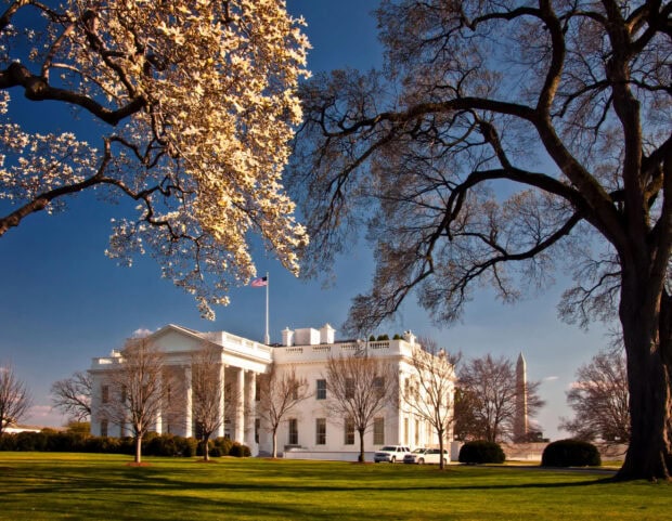 Springtime view of the White House with blooming trees and the Washington Monument in the background