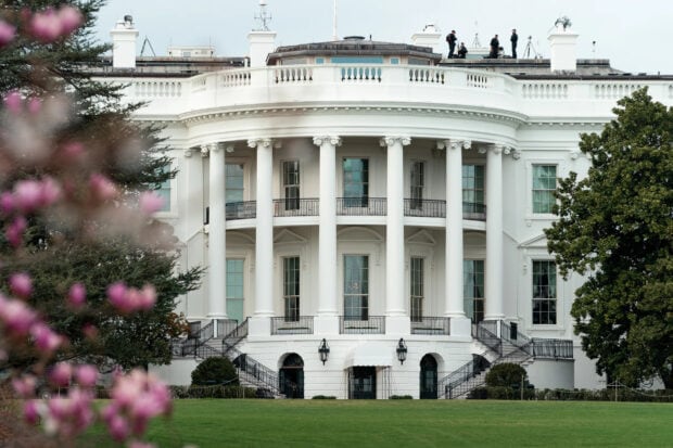 The White House stands prominently with blooming flowers in the foreground and lush greenery surrounding the historic building