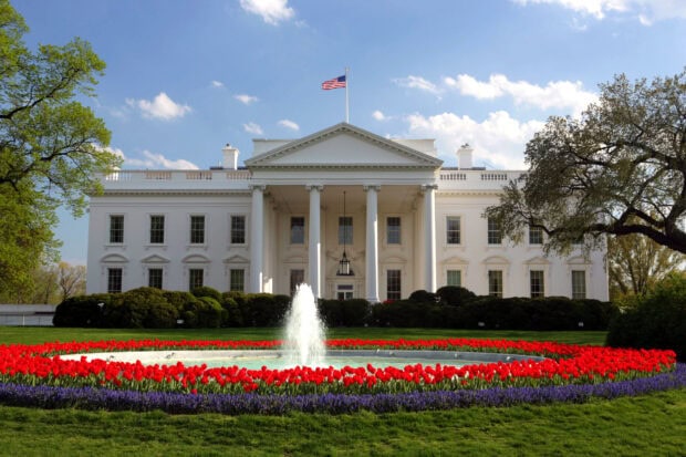 The White House with a garden of red and purple flowers and a fountain in front under a clear sky