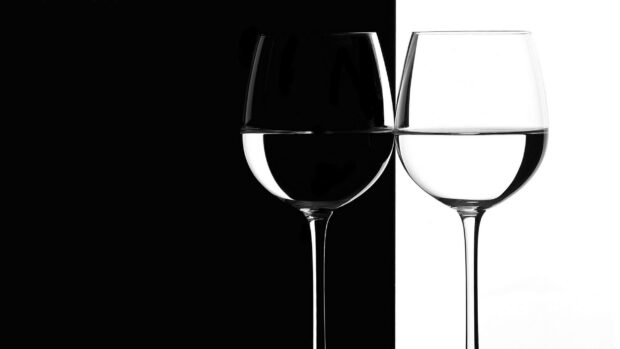Two wineglass reflections create a black and white contrast on a split background