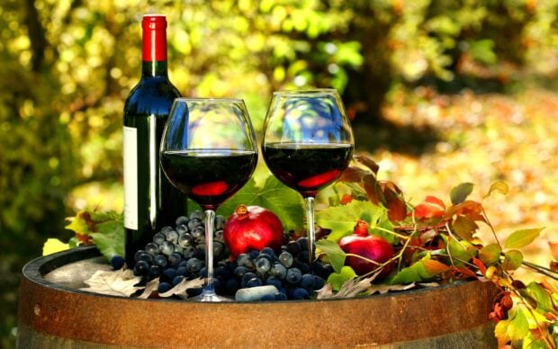 Two wineglass with red wine beside grapes and pomegranates on a wooden barrel outdoors