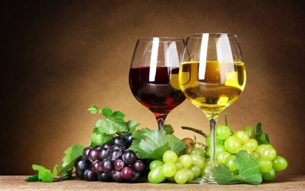 Two wineglass filled with red and white wine next to green and purple grapes on wooden table