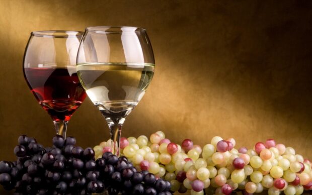 Two wineglass with red and white wine surrounded by fresh grapes on a brown surface