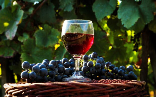 A wineglass filled with red wine is placed next to fresh grapes on a wicker surface
