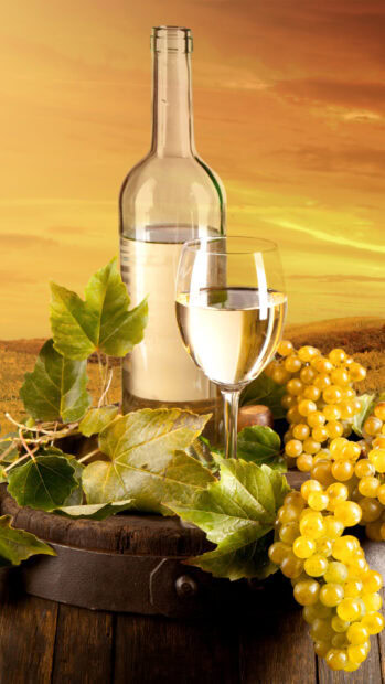 White wine glass with grapes and leaves on wooden barrel at sunset