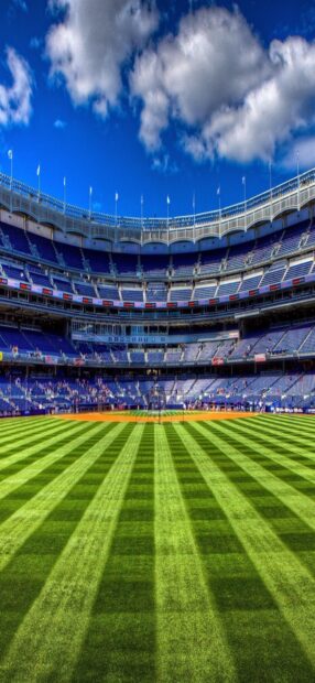 The green field of Yankee Stadium with players and empty seats under a blue sky