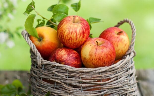 A basket filled with fresh ripe apple fruit and green leaves on a wooden surface