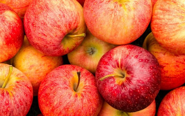 Fresh apple fruit close up with red and yellow skin in high resolution