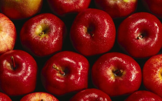 Fresh red apple fruit with water droplets on a dark background
