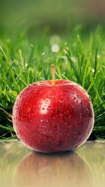 A fresh red apple fruit covered with water drops sitting on a reflective surface in green grass