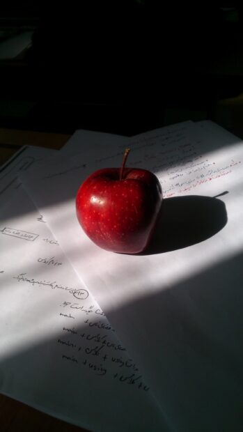 A red apple fruit placed on handwritten notes with natural light casting shadows