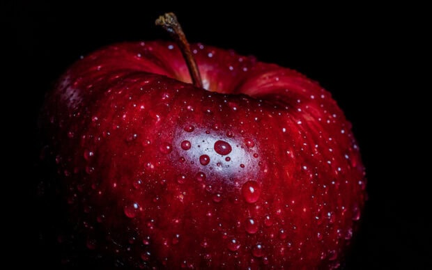 Fresh red apple fruit covered with water droplets on black background