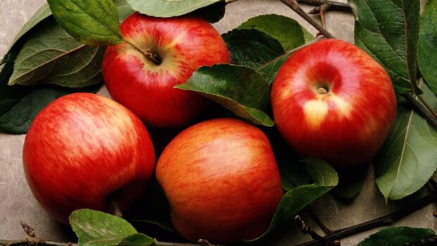 Fresh red apples surrounded by green leaves on a wooden surface