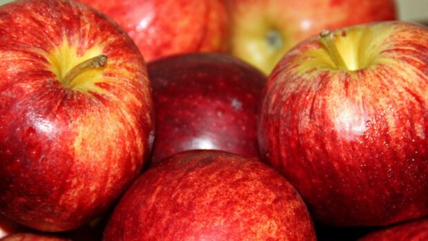 A close up view of fresh red apple fruit with natural texture and shine