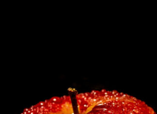 Close up of fresh apple fruit covered with water droplets
