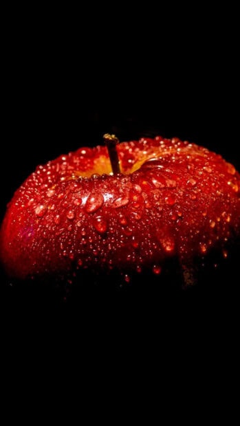 Close up of fresh apple fruit covered with water droplets