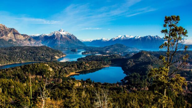 A scenic view of Argentina mountains and lakes surrounded by forest in a clear blue sky