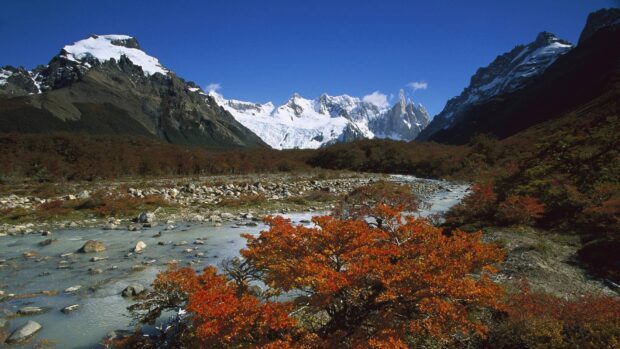 Snow covered mountains and autumn trees in Argentina landscape