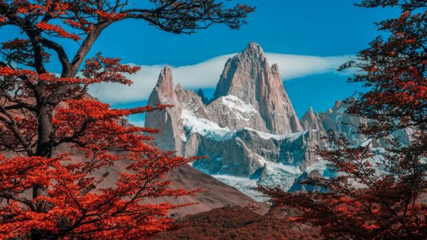 Snowy mountain peaks with orange autumn trees in Argentina landscape