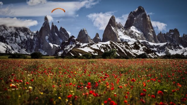 Snowy mountains and wildflowers landscape in Argentina with a paraglider in the sky