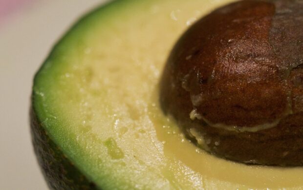 Close up of avocado pit and green flesh showing natural texture