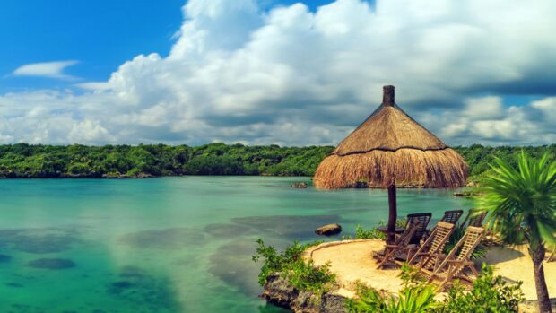Tropical Bali coast with palm trees and sun loungers under a thatched umbrella
